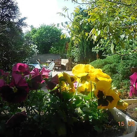 Bed & Breakfast Les De La Nied Condé-Northen