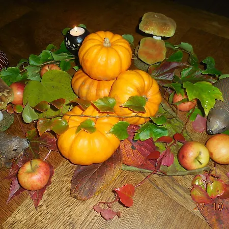 Bed & Breakfast Les De La Nied 3*